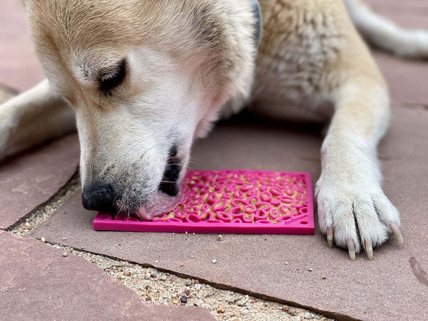 SodaPup Flower Power emat Enrichment Lick Mat Dogs Cats | Design USA Made