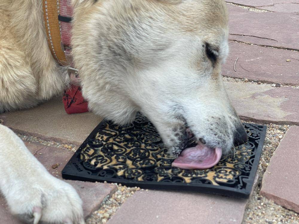 Zombie Skull Dog Lick Mat | Halloween eMat Enrichment Toy
